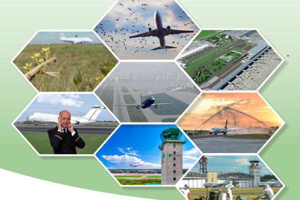 Gestión Medioambiental en Aeropuertos